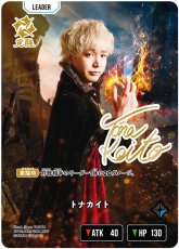 画像1: トナカイト(BP02-093/LRPP) (1)